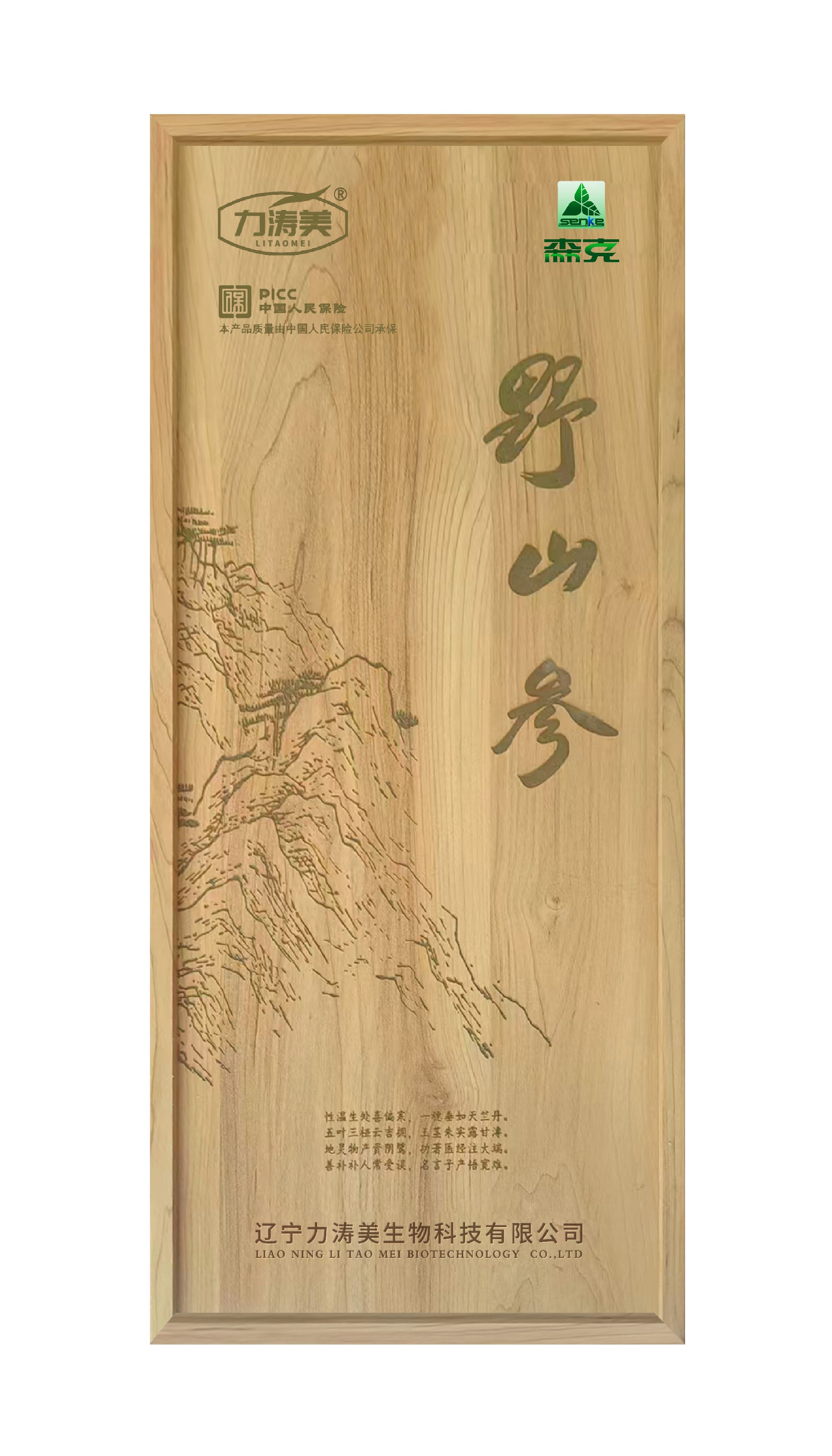 森克 战略合作伙伴